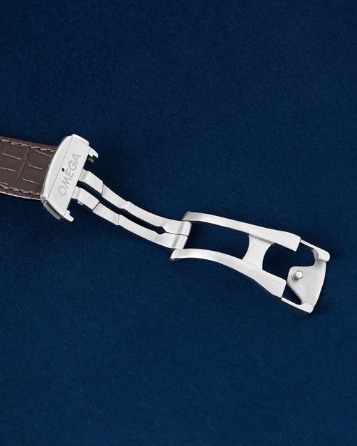 Omega Aqua Terra 150m GMT 231.13.43.52.02.001 Image 4